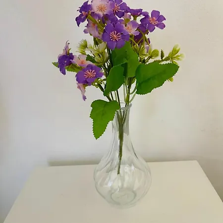 Loft Flower Colosseum Appartement