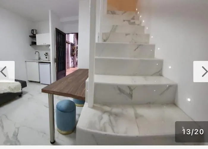 Loft Flower Colosseum